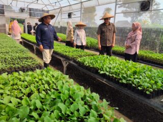 Distanhorbun Kabupaten Bogor Salurkan Puluhan Ribu Bibit